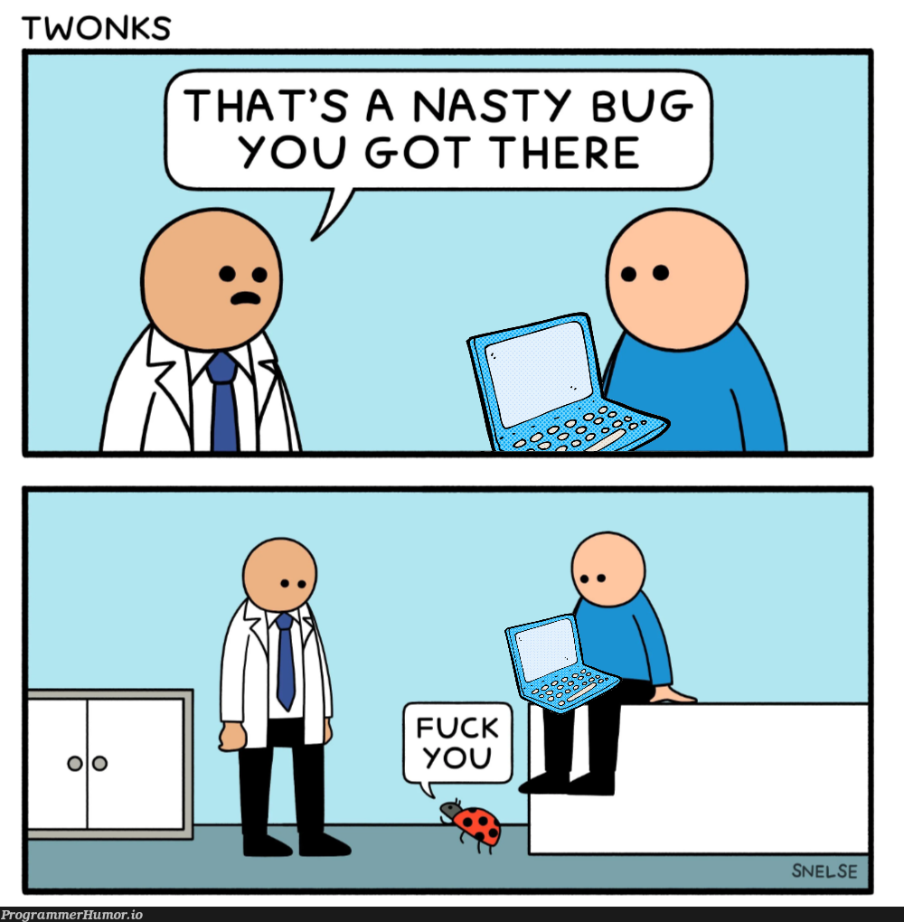 NastyBug | bug-memes | ProgrammerHumor.io