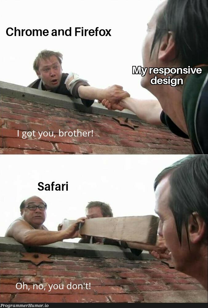 Safari is such a pain. | firefox-memes | ProgrammerHumor.io