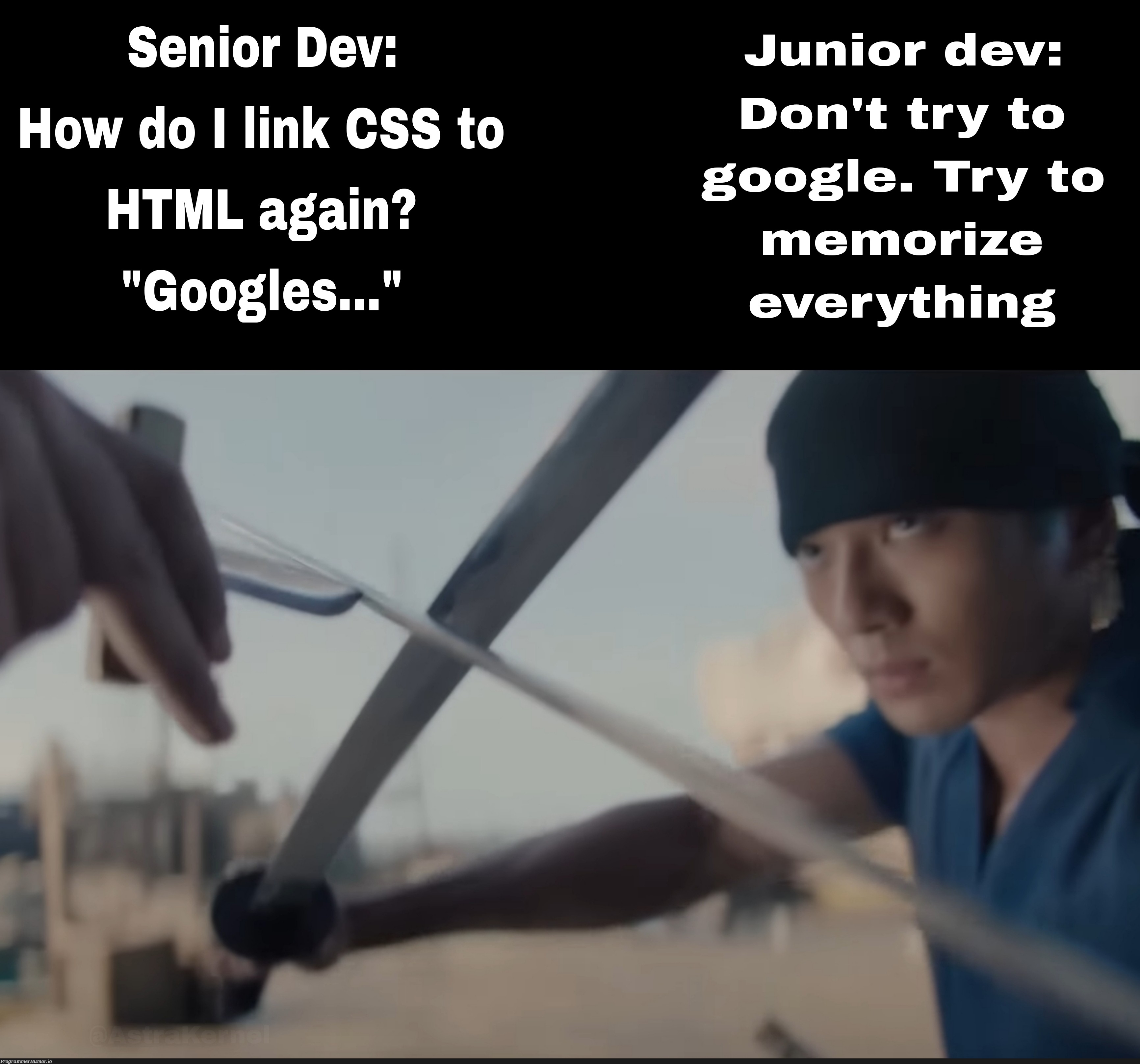 juniorVsSenior | html-memes, google-memes, try-memes, ML-memes | ProgrammerHumor.io