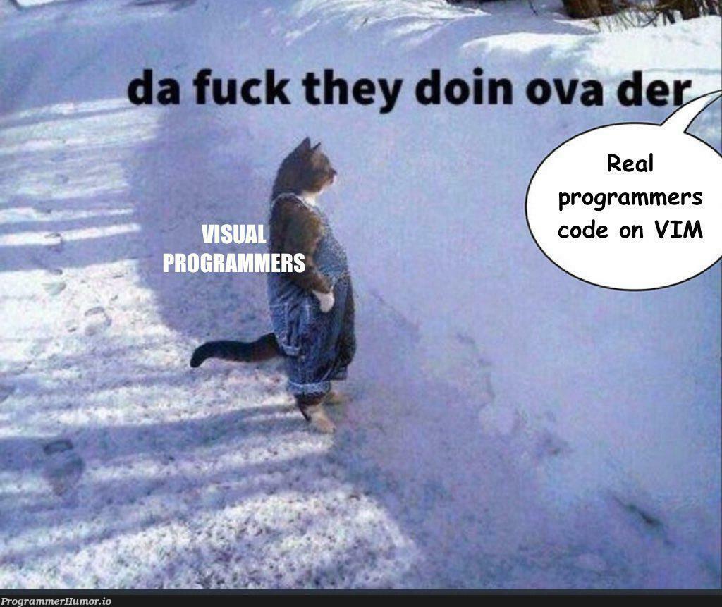 There are two kinds of programmers in this world... | programmer-memes, code-memes, vim-memes, program-memes | ProgrammerHumor.io