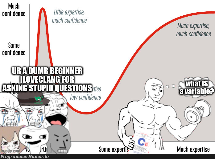 When I've been programming for years, and CS students call me a beginner for asking "stupid" questions | programming-memes, program-memes, ide-memes, cs-memes | ProgrammerHumor.io