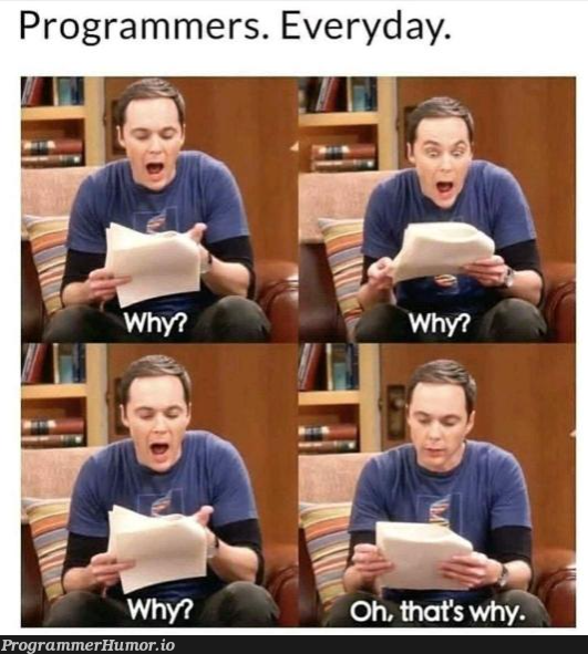 Ohhh!! silly huh. | programmer-memes, program-memes | ProgrammerHumor.io