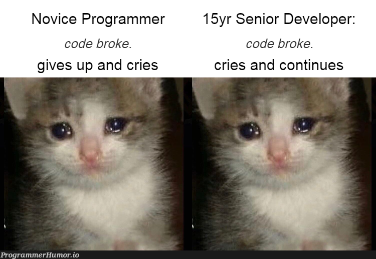 Is being an alcoholic considered Agile? | programmer-memes, developer-memes, code-memes, program-memes, ide-memes | ProgrammerHumor.io