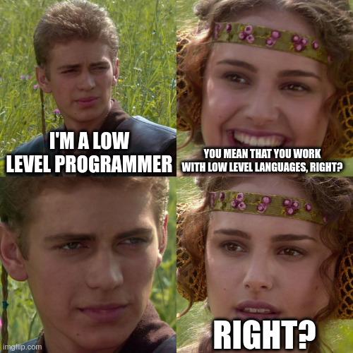 lowLevelProgrammerButNotInTheWayYouThink | programmer-memes, program-memes | ProgrammerHumor.io