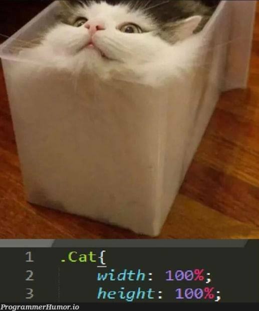 When I found this cat, I couldn't pass by without making this meme. | ProgrammerHumor.io