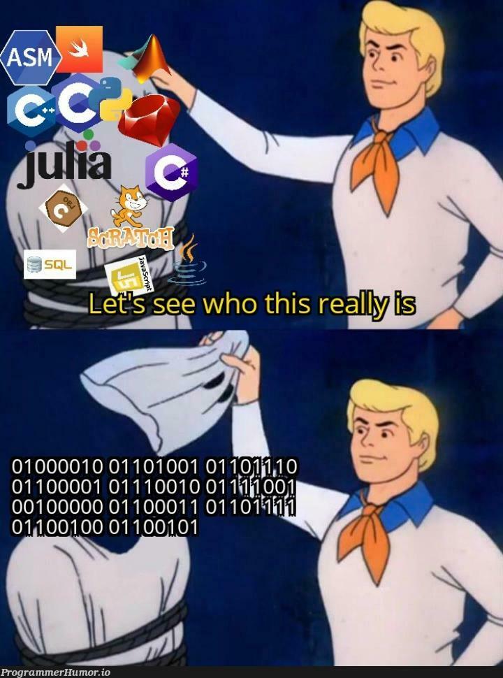 None binary languages don't exist | language-memes, binary-memes | ProgrammerHumor.io