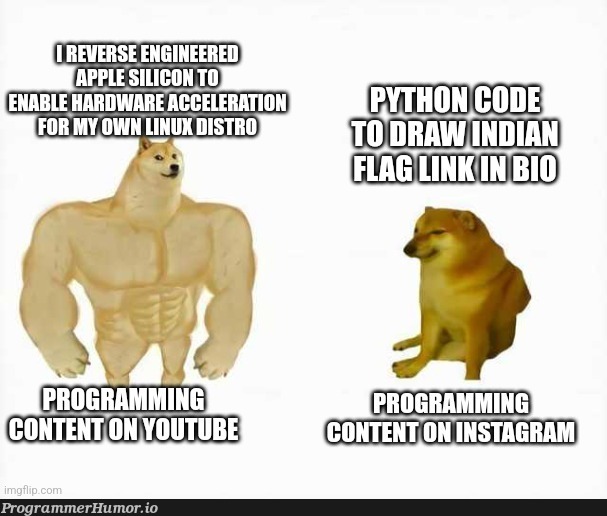 realEvents | programming-memes, code-memes, python-memes, program-memes, indian-memes | ProgrammerHumor.io