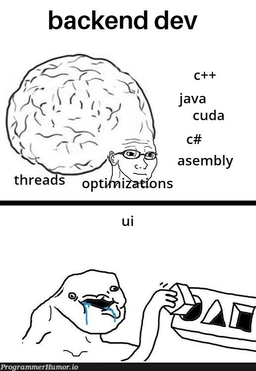 thankYouStreamlit | java-memes, backend-memes, c++-memes, c#-memes, ML-memes, stream-memes | ProgrammerHumor.io