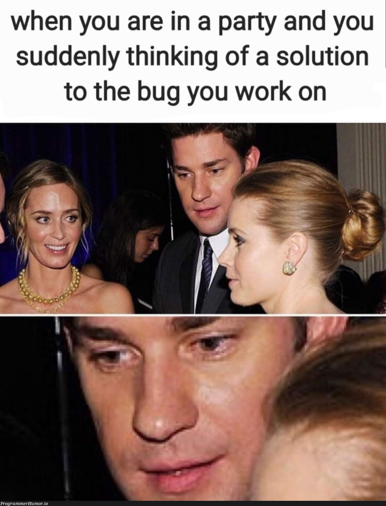 It's all a matter of priorities | bug-memes | ProgrammerHumor.io