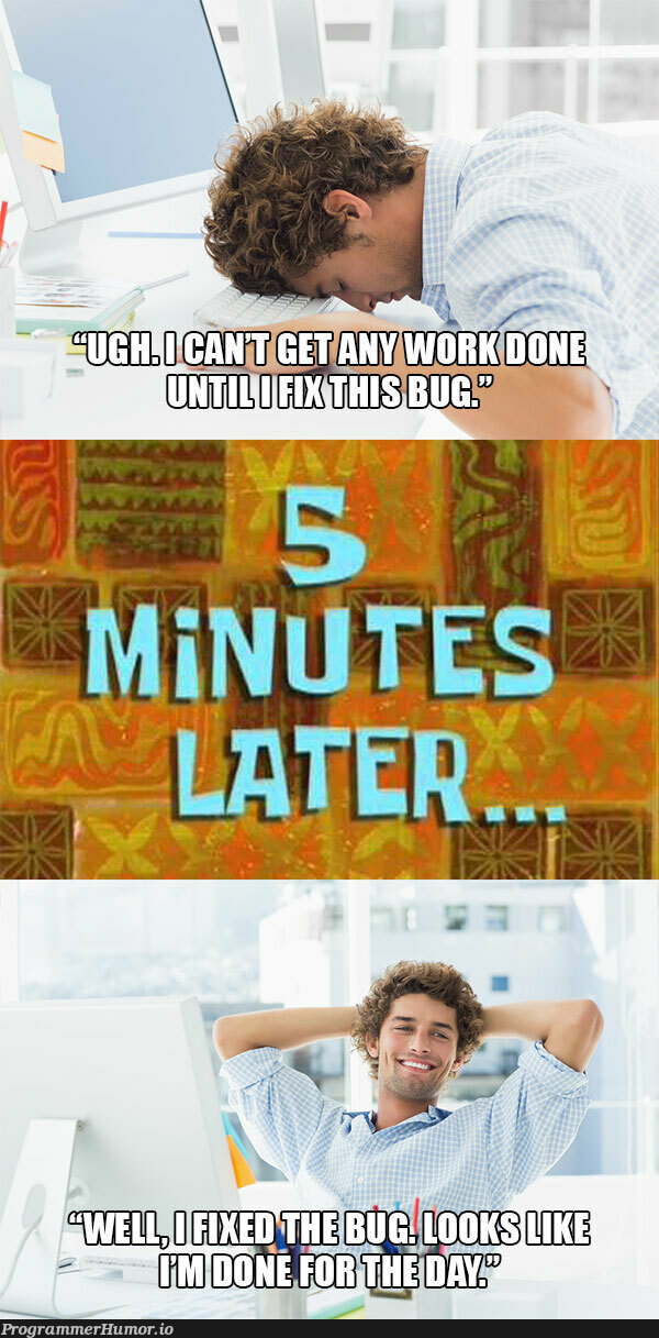 I feel like I do this at least once a day | bug-memes | ProgrammerHumor.io