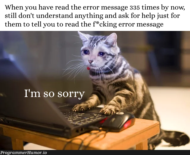 imSorryForBeingDumb | error-memes | ProgrammerHumor.io