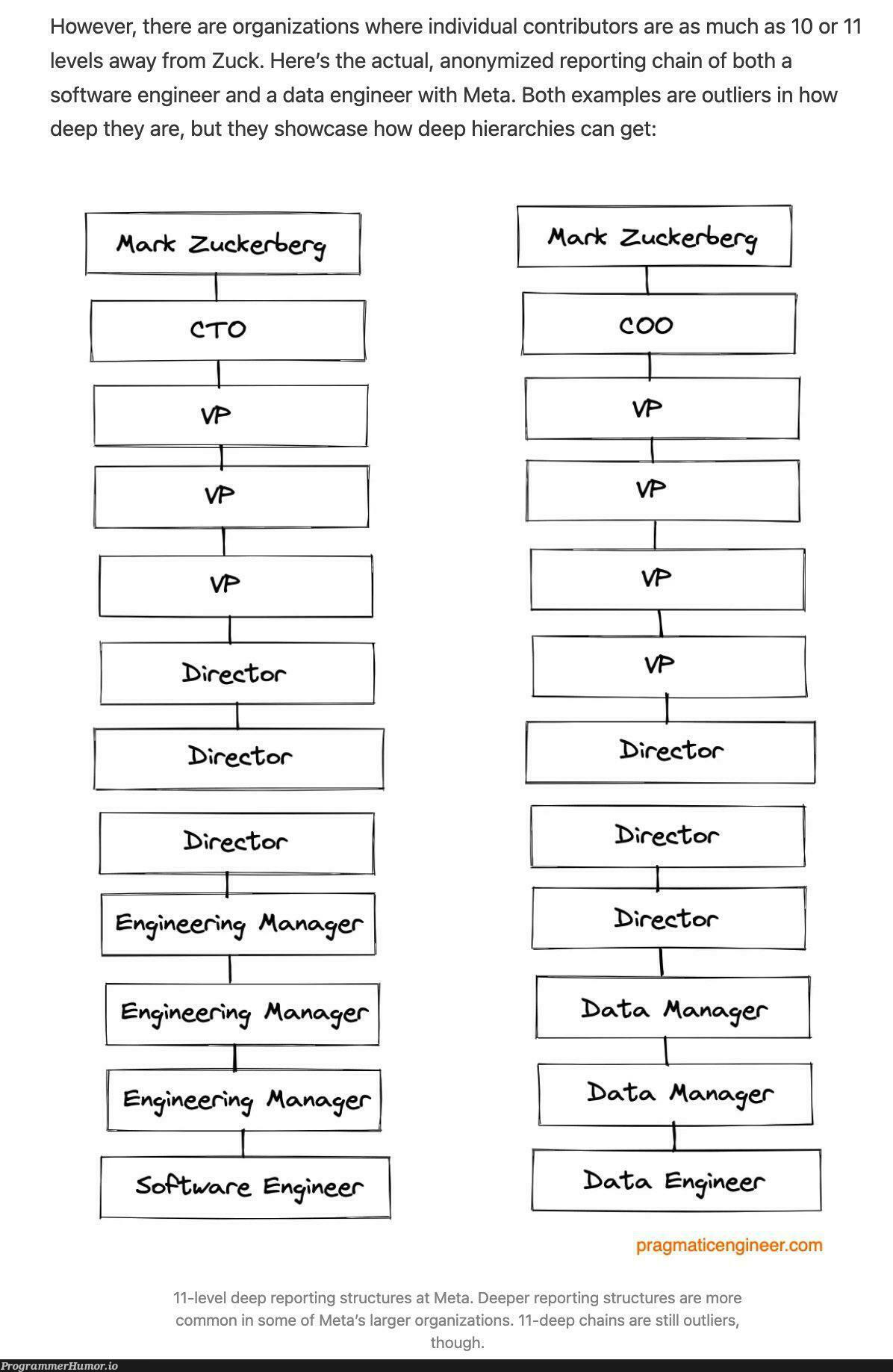 Meta hierarchy- suck drop the hammer hard | software-memes, engineer-memes, software engineer-memes, data-memes, bot-memes, div-memes | ProgrammerHumor.io