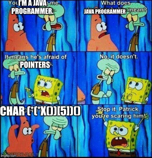 C programmers when they meet a Java dev | programmer-memes, java-memes, program-memes, c-memes | ProgrammerHumor.io