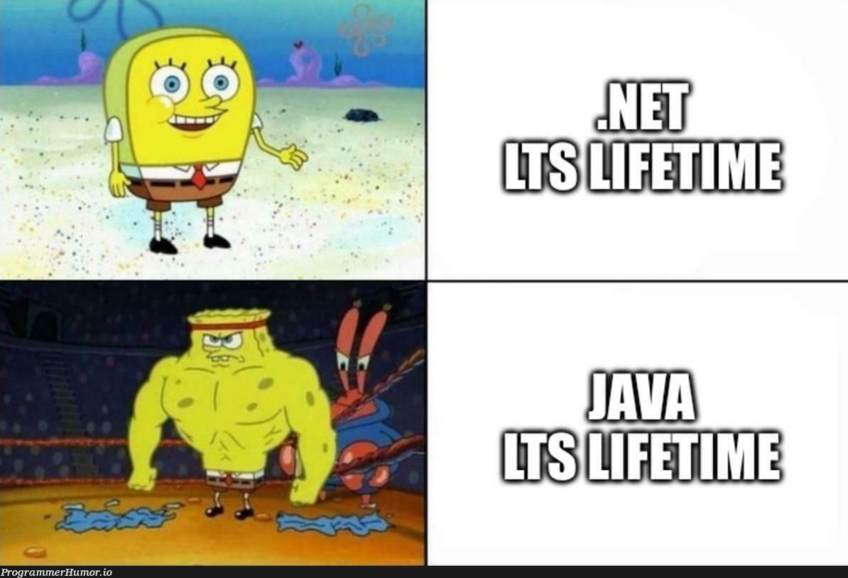 java8 | java-memes | ProgrammerHumor.io