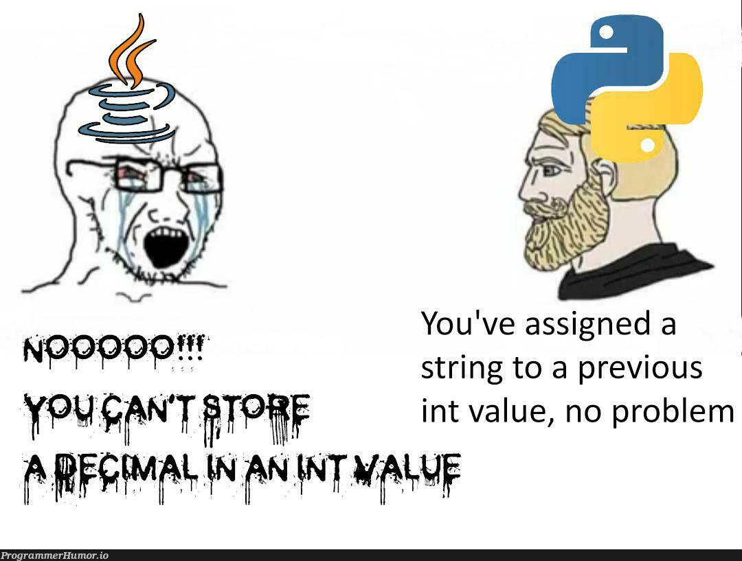 Who even uses Java? | java-memes, string-memes, oop-memes | ProgrammerHumor.io