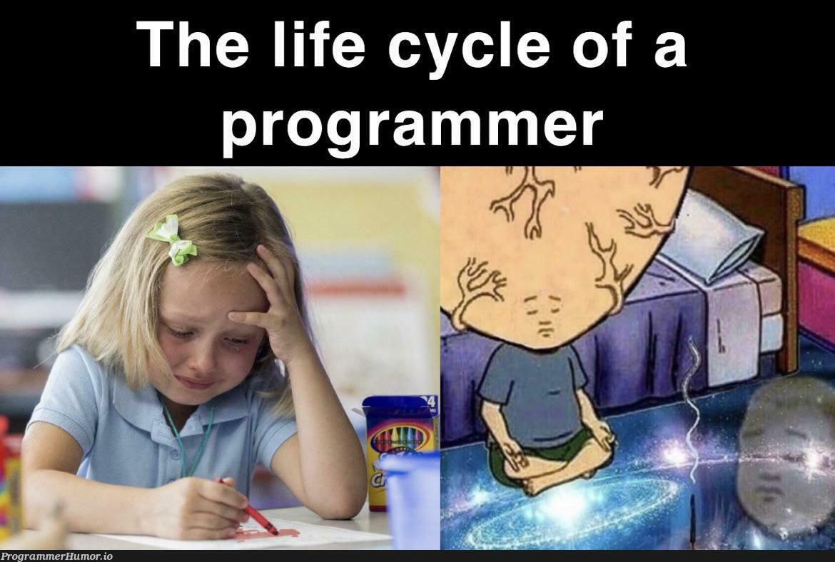 Meme == True | ProgrammerHumor.io