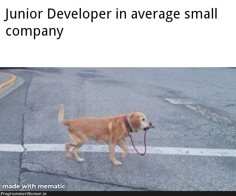 ..Is It only my experience? | developer-memes, IT-memes | ProgrammerHumor.io