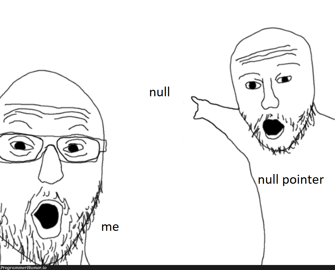 shoutout to all the null pointers just doing their jobs | pointers-memes | ProgrammerHumor.io