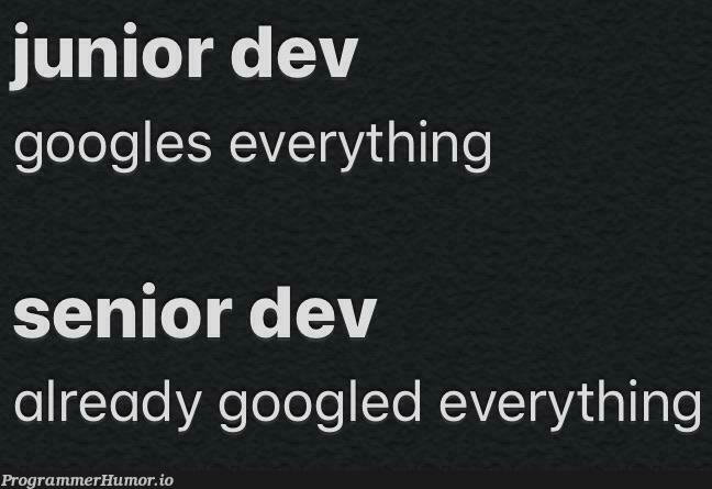 difference between developer experience | developer-memes, google-memes | ProgrammerHumor.io