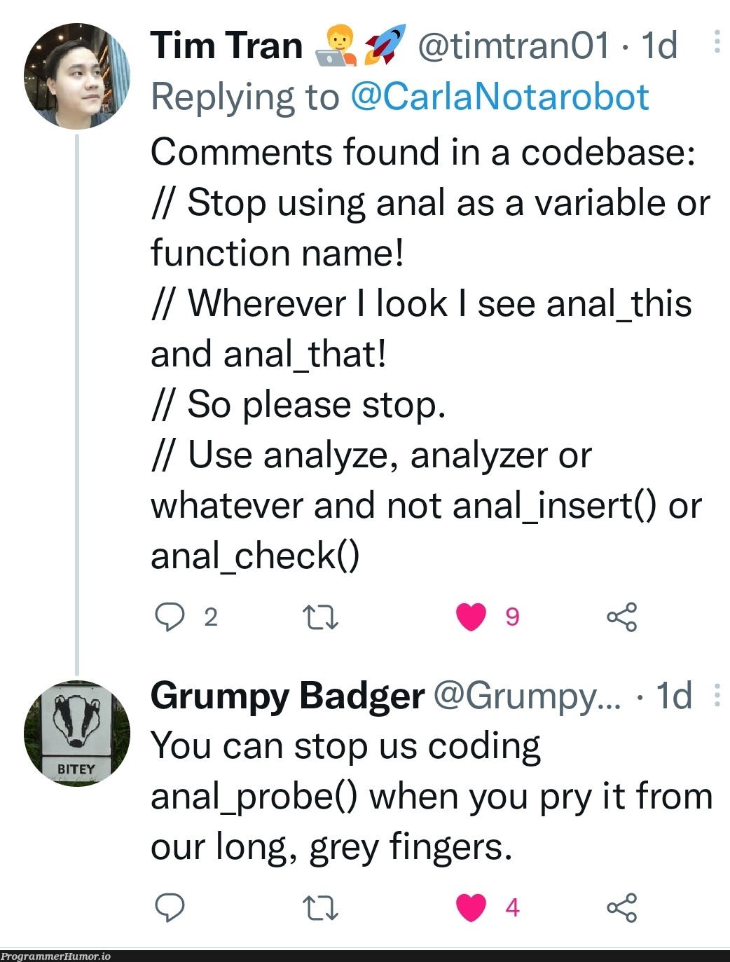 "Anal" Comments! | coding-memes, code-memes, function-memes, IT-memes, bot-memes, comment-memes | ProgrammerHumor.io