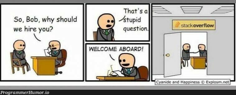 How stack overflow hires | stack-memes, stack overflow-memes, .net-memes, overflow-memes, ide-memes | ProgrammerHumor.io