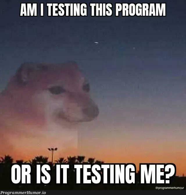 Sometimes I wonder | program-memes, testing-memes, test-memes | ProgrammerHumor.io