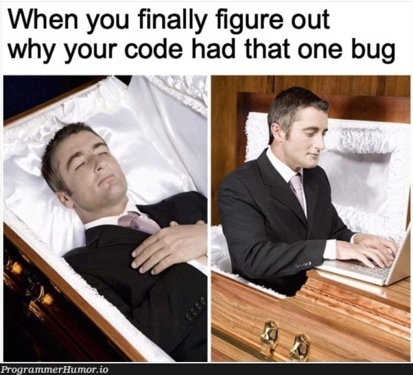 I will not be allowed to die free😥 bugs | code-memes, bugs-memes, bug-memes | ProgrammerHumor.io