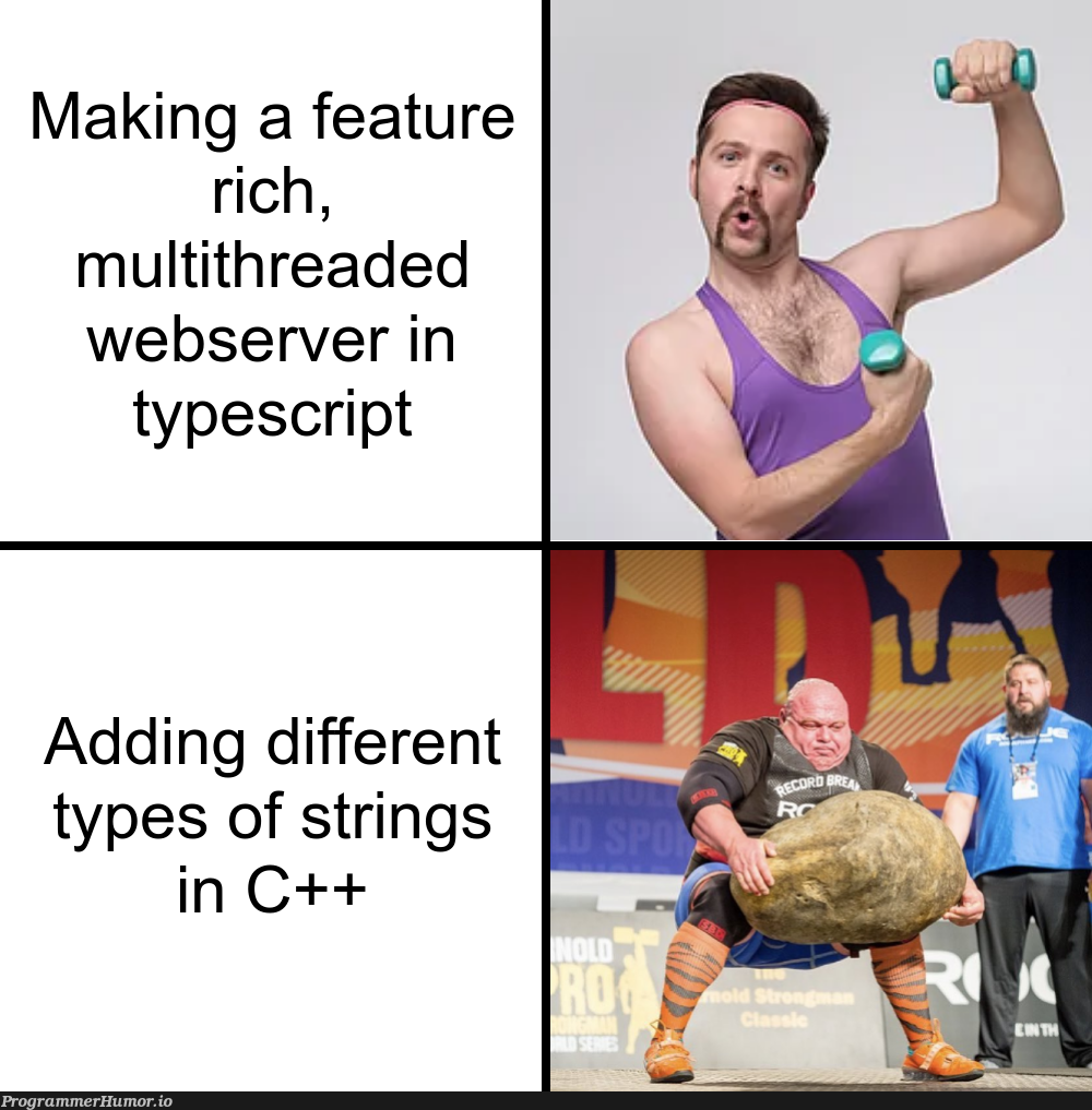 It should not be THIS HARD to convert a char[] to a string | web-memes, server-memes, c++-memes, string-memes, typescript-memes, IT-memes, feature-memes | ProgrammerHumor.io