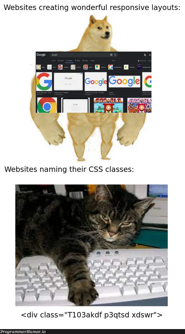 randomLettersGoBrrr | web-memes, website-memes, random-memes, class-memes, ML-memes, div-memes | ProgrammerHumor.io