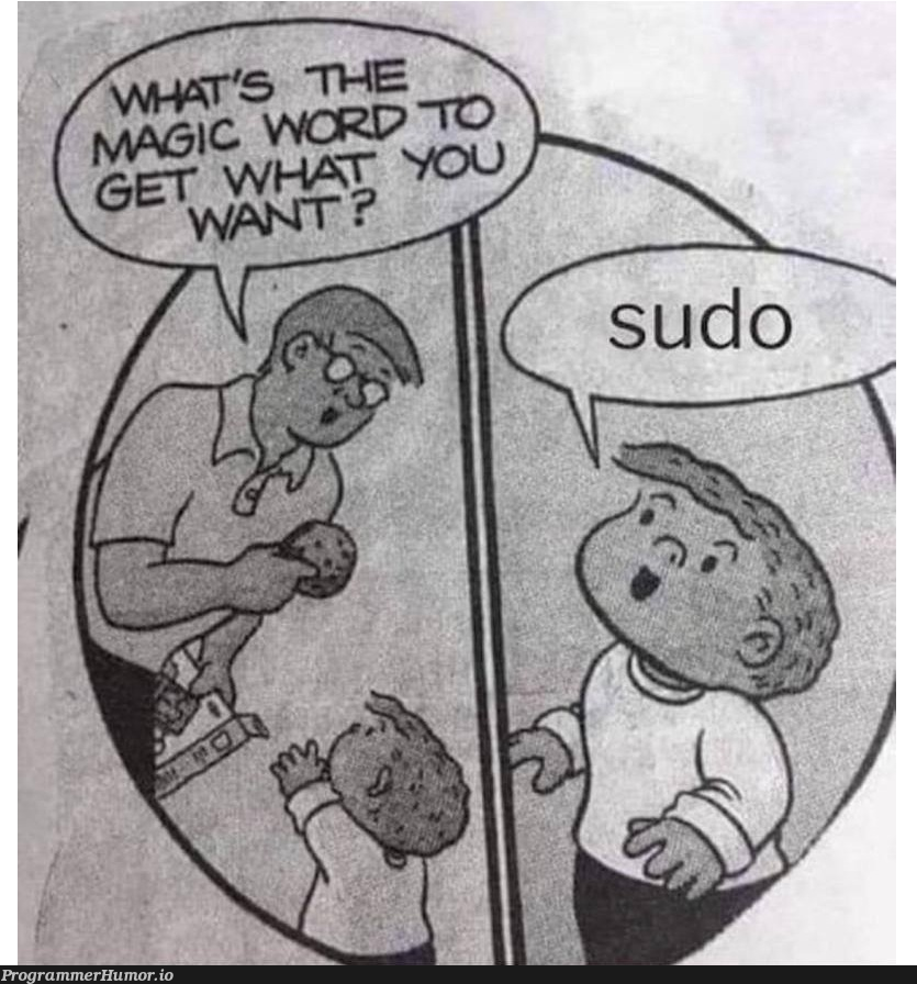 sudoNotSorry | sudo-memes | ProgrammerHumor.io