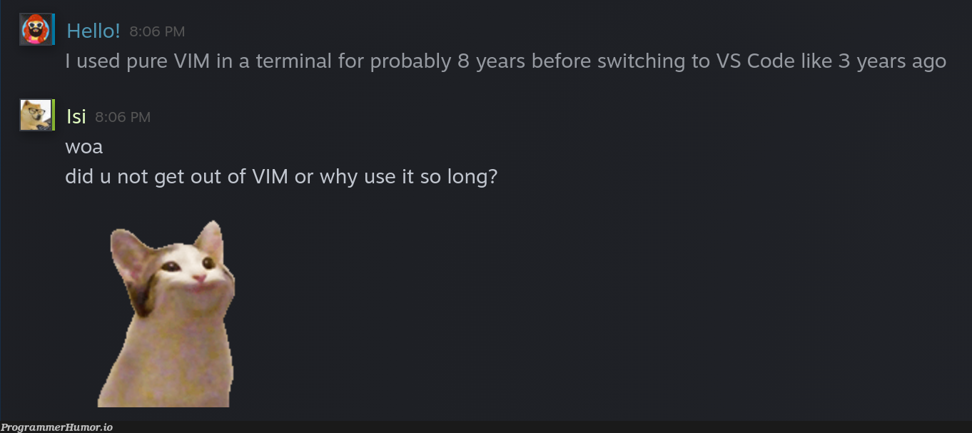 I tried telling a friend why VIM is so great... 😑 | code-memes, vim-memes, terminal-memes, vs code-memes, IT-memes | ProgrammerHumor.io