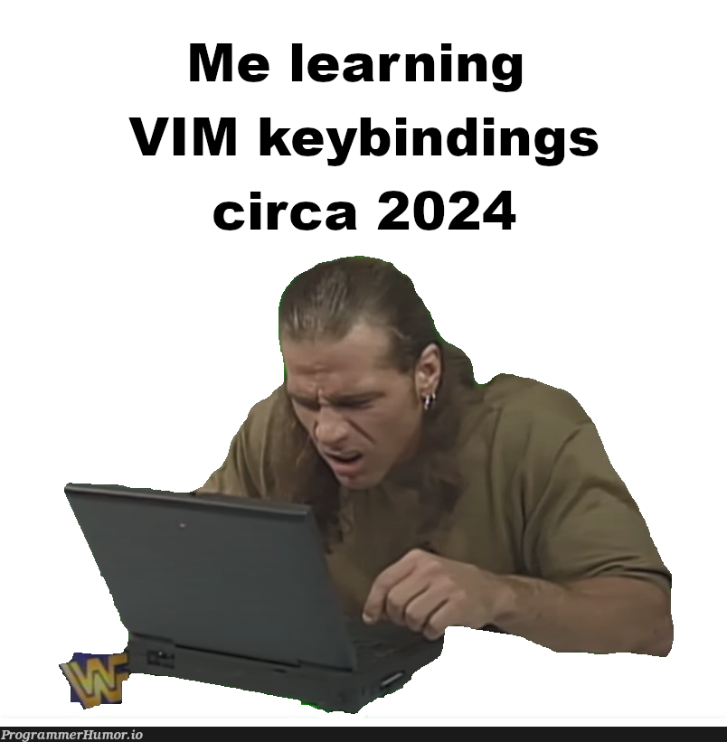 newYearResolution2024 | vim-memes | ProgrammerHumor.io