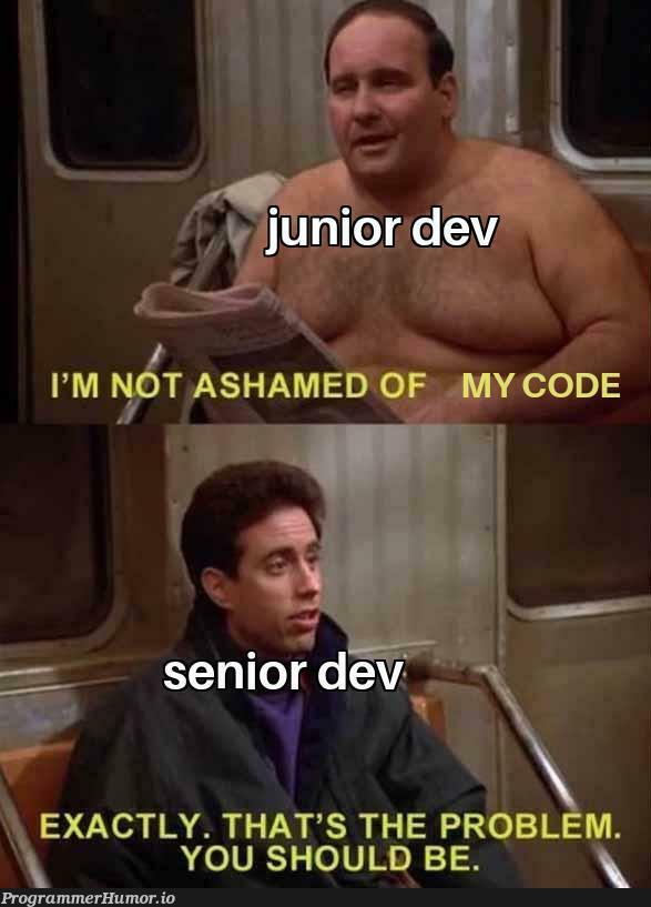 illTellYouASecretSeniorDevsAreAshamedToo | devs-memes | ProgrammerHumor.io