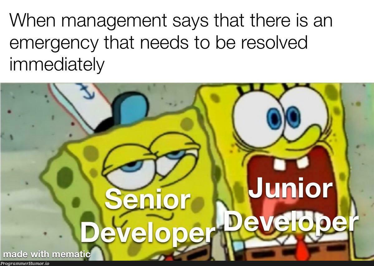 Management tends to cry wolf too often | management-memes | ProgrammerHumor.io