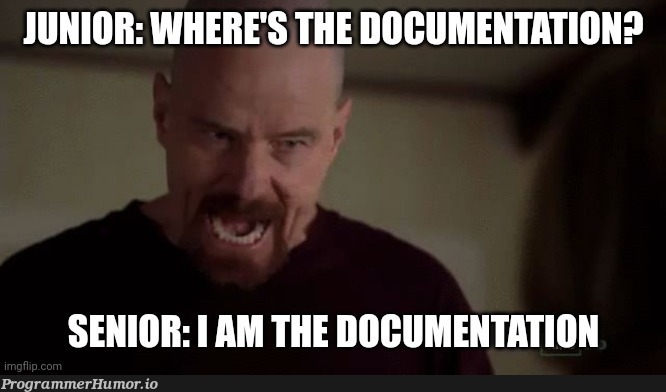 iAmTheOneWhoWrites | documentation-memes | ProgrammerHumor.io