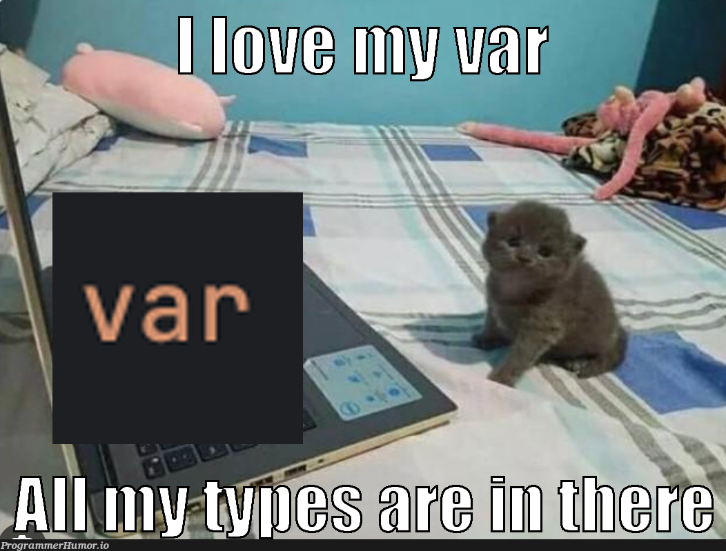 justSlapAVarOnThat | ProgrammerHumor.io