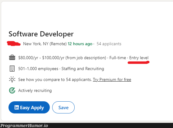 Why did no one tell me the Americans have 6-figure entry-level jobs? | developer-memes, software-memes, software developer-memes, try-memes, recruit-memes | ProgrammerHumor.io