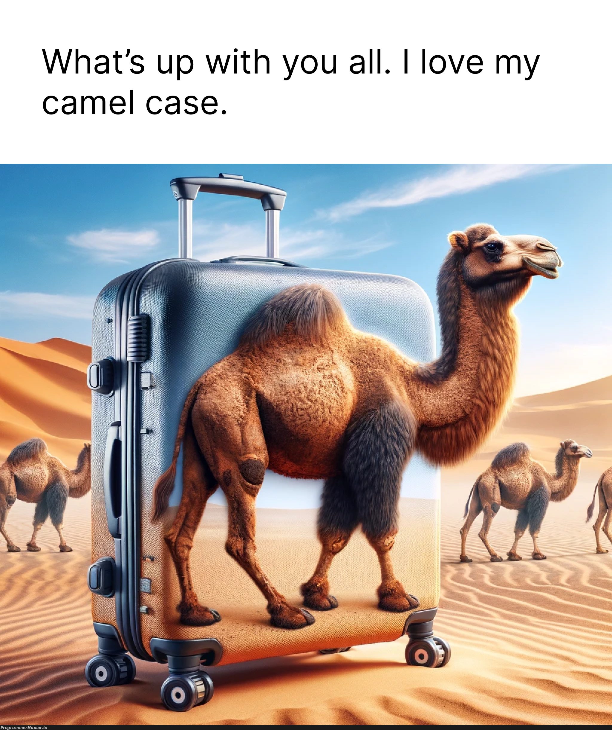 ilovecamelcase | ProgrammerHumor.io