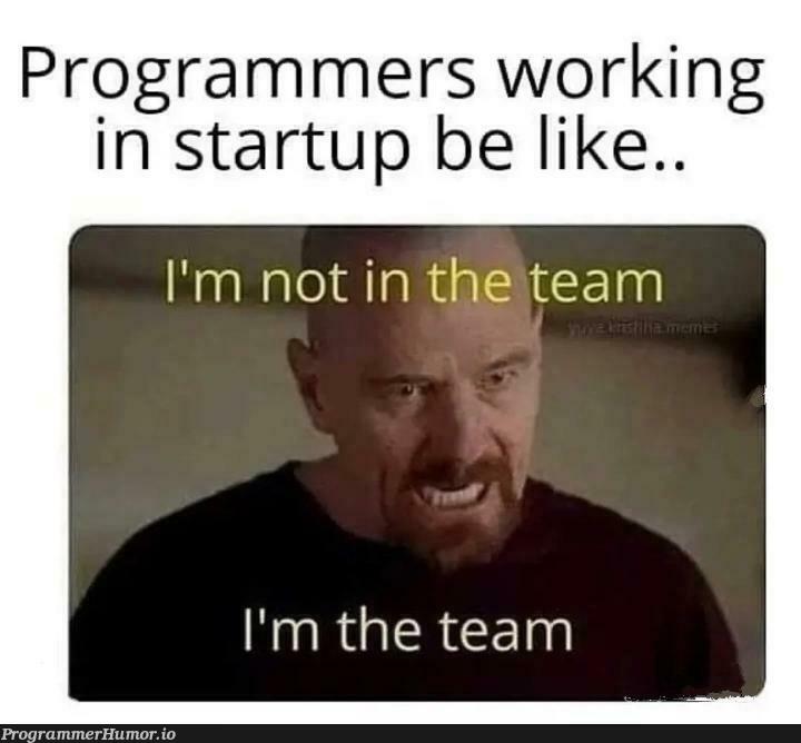 I AM THE TEAM!!! | programmer-memes, program-memes, startup-memes | ProgrammerHumor.io