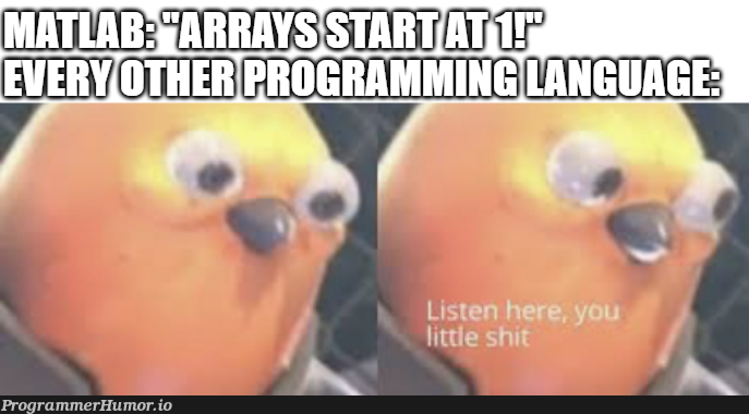 So, I've heard this one mentioned here every now and then... | ProgrammerHumor.io