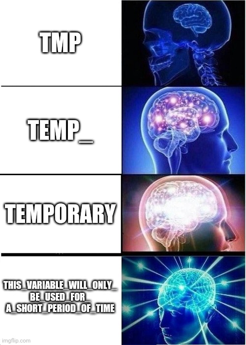 Naming variables be like | variables-memes | ProgrammerHumor.io