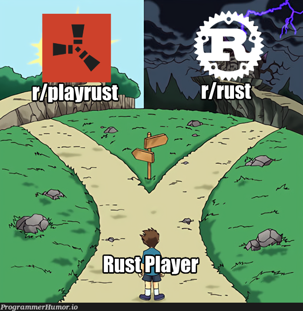 There's the Rust Player still going wrong subreddit? | reddit-memes, subreddit-memes, rust-memes | ProgrammerHumor.io