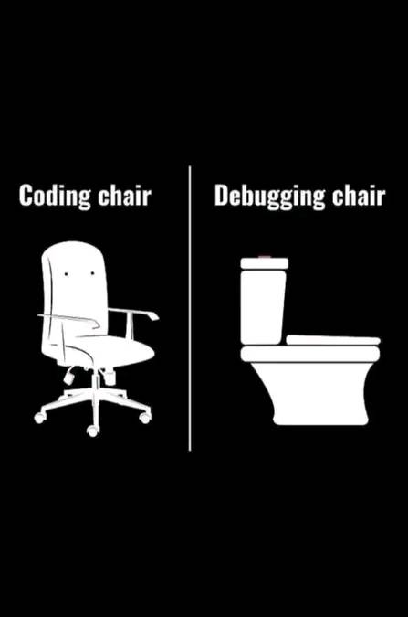 Toilet "break" | coding-memes, debugging-memes, bug-memes, debug-memes | ProgrammerHumor.io