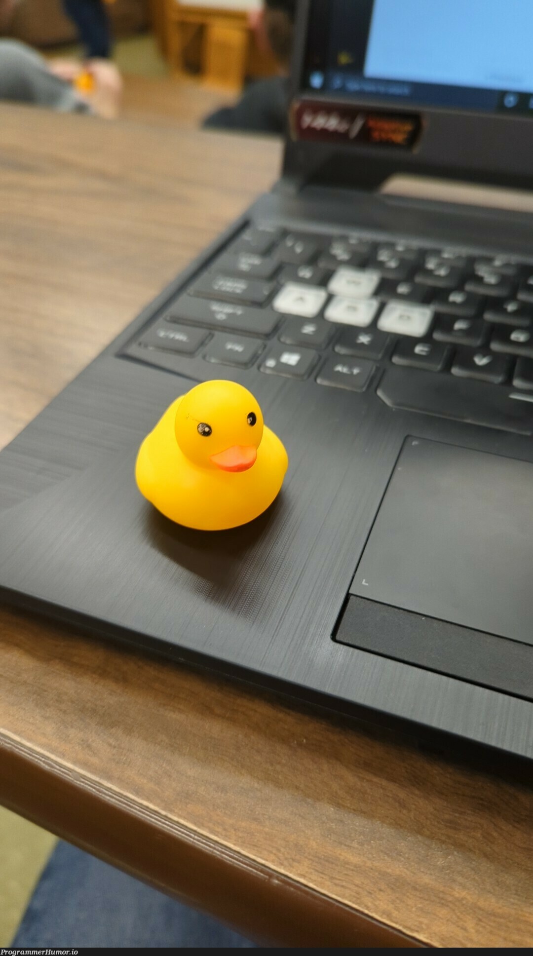 We were given debugging ducks in my programming class. | programming-memes, program-memes, debugging-memes, bug-memes, class-memes, debug-memes | ProgrammerHumor.io