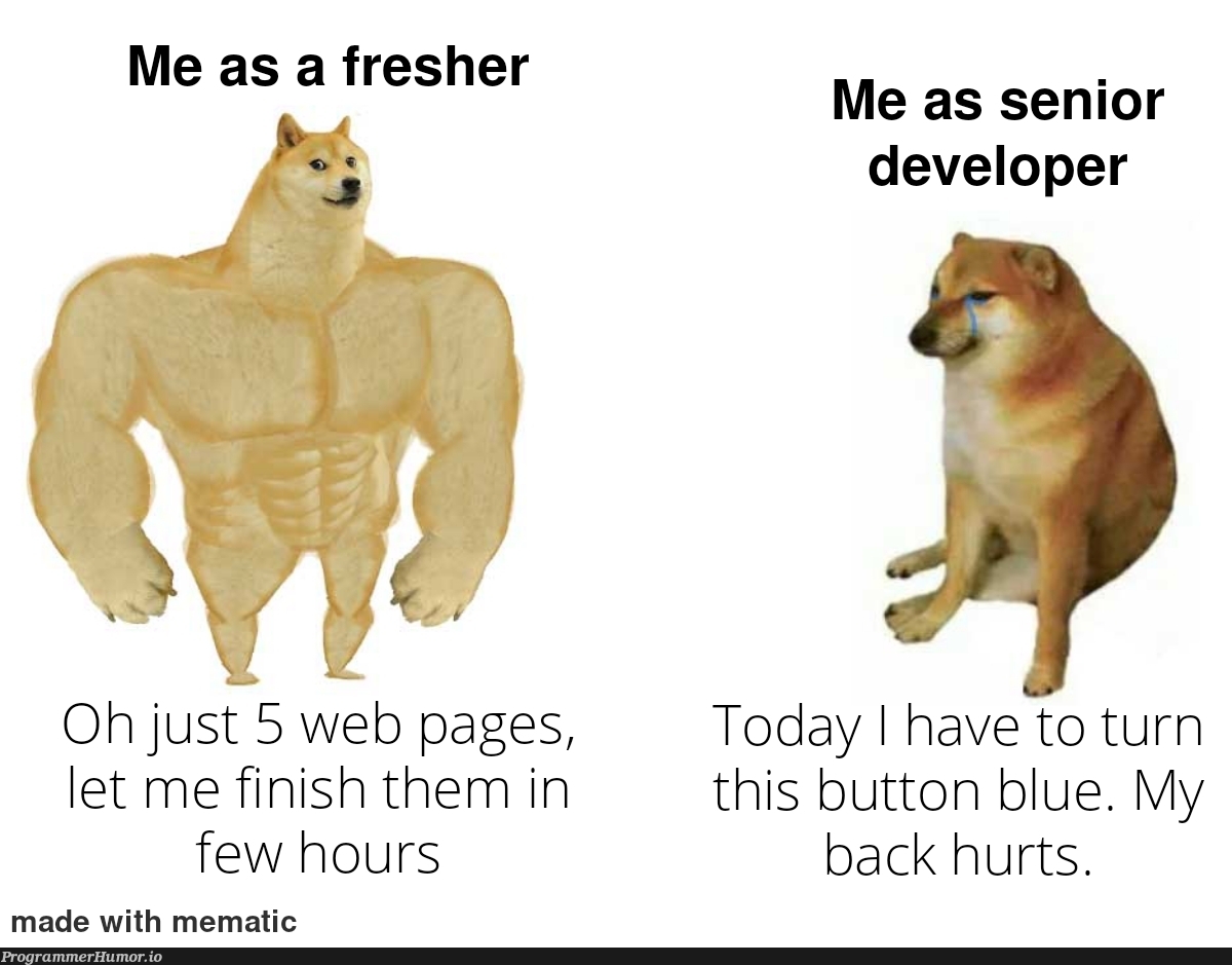 Based on true events. | developer-memes, web-memes | ProgrammerHumor.io