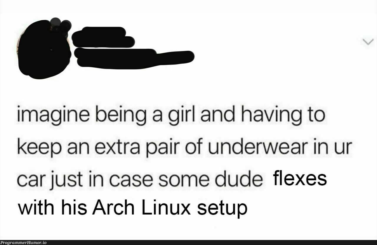 Arch is the best. | linux-memes, ux-memes | ProgrammerHumor.io