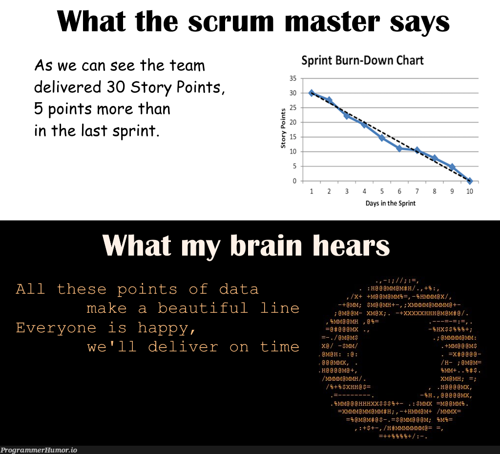 everySingleSprintReviewMeetingWeAreTwoWeeksCloserToDeath | ProgrammerHumor.io