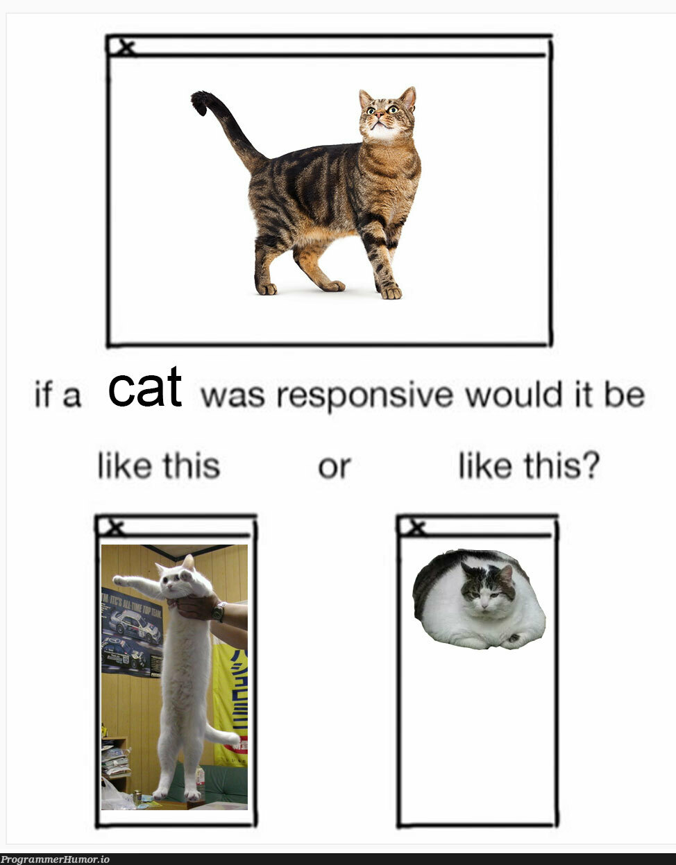 If a cat was responsive | IT-memes | ProgrammerHumor.io