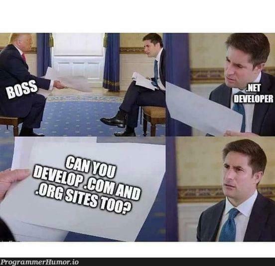 dotNetDeveloper | developer-memes | ProgrammerHumor.io