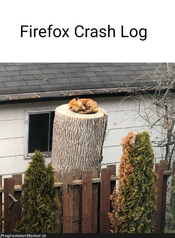 Firefox crash log | firefox-memes, crash-memes | ProgrammerHumor.io